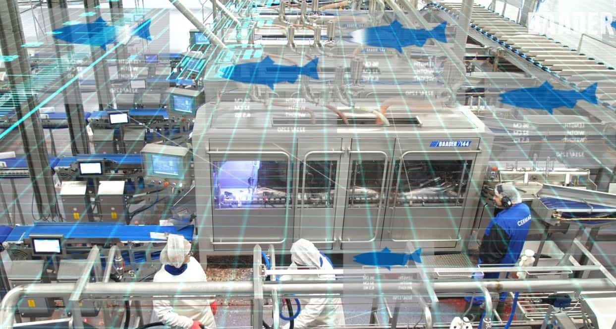 Software & Digital Solutions BAADER Food Processing Machinery